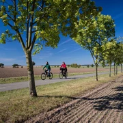 Bauerngartenroute - Allee