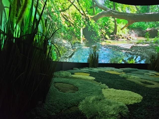 moorerlebniswelt-bad-driburg-bad-driburger-touristik-gmbh-8.jpg Nahaufnahme von der Leinwand in der Moorerlebniswelt.