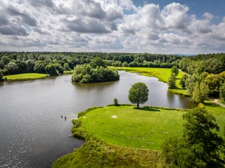 Grüner See mit einsamem Baum auf Insel, umgeben von Wald und gesäumt von zwei Schwimmern.