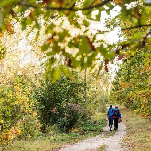 Wandern tut s sich im Leipziger Neuseenland auch fantastisch: Hier in der neuen Harth