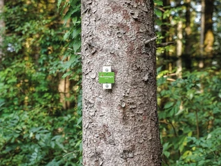 Heimatwegle-Kirche in Oberwolfach