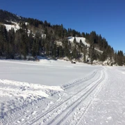 Langlaufloipe Thorbach