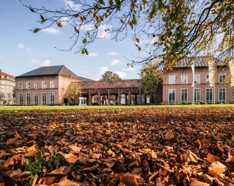 GRASSI Museumskomplex Leipzig - Museen in Leipzig Der Johannisplatz vor dem GRASSI Museumskomplex ist mit buntem Laub bedeckt, im Hintergrund ist der Eingang zum Museum, Familie, Freizeit, Ausstellungen