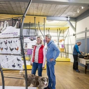 The exhibition at the Amt Neuhaus Archaeological Centre Die Ausstellung im Archezentrum Amt NeuhausThe exhibition at the Amt Neuhaus Archaeological CentreL'exposition à l'Archezentrum Amt NeuhausDe tentoonstelling in het Archeologisch Centrum Amt NeuhausUdstillingen på det arkæologiske center Amt Neuhaus