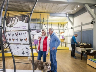 Udstillingen på det arkæologiske center Amt Neuhaus Die Ausstellung im Archezentrum Amt NeuhausThe exhibition at the Amt Neuhaus Archaeological CentreL'exposition à l'Archezentrum Amt NeuhausDe tentoonstelling in het Archeologisch Centrum Amt NeuhausUdstillingen på det arkæologiske center Amt Neuhaus