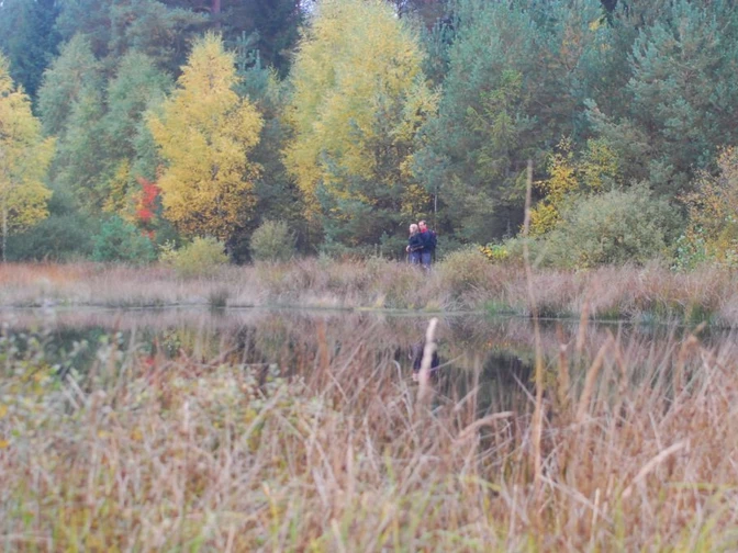 DSC 0538