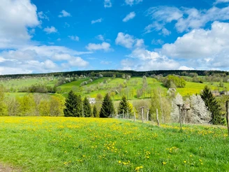 Königswalde - Waldhufendorf