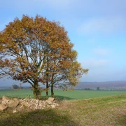 südlich von Bühren