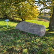 Ein großer, alter Findling ruht auf einer Wiese, umgeben von Herbstlaub unter einem Baum.