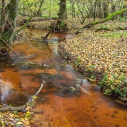 H Rotes Wasser Tour Das Rote Wasser L Feisel