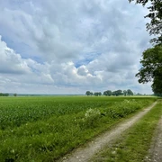 Blick auf die Felder bei Medingen