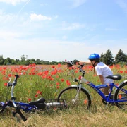 Radweg bei Canitz, Thallwitz