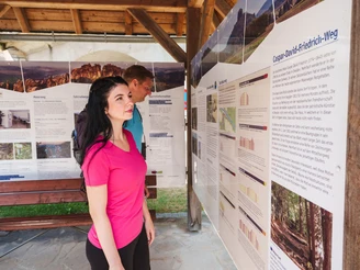 Infopavillon in Krippen