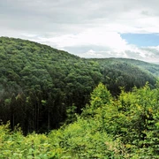 Natursteig Etappe 04