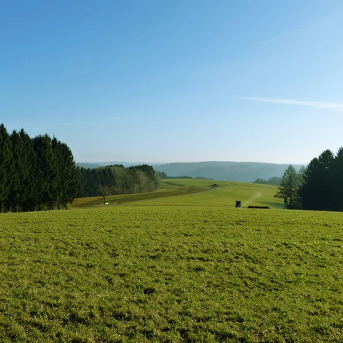 Nutscheid