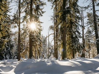 Fototrail Sörenberg - Winterrundwanderung Rossweid-Schwarzenegg-Rossweid