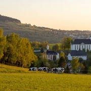 Blick auf Mildenau