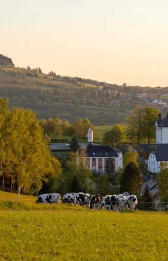Blick auf Mildenau