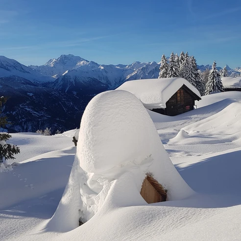 Winterwanderweg Betten Dorf - Goppisberg - Greich