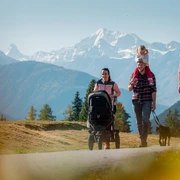 Wanderung von der Fiescheralp zur Riederalp via "Herrenweg" und "Aletschpromenade"