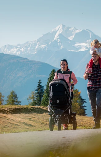 Wanderung von der Fiescheralp zur Riederalp via "Herrenweg" und "Aletschpromenade"