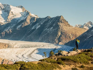 Wanderung vom Bettmerhorn über die Riederfurka zur Riederalp