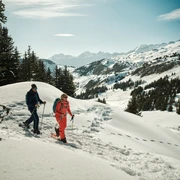 Bettmeralp - Riederalp Trail