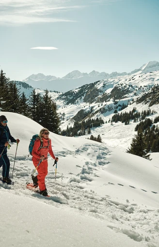 Bettmeralp - Riederalp Trail