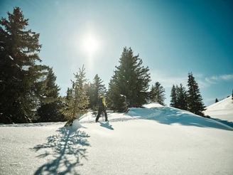 Bettmeralp - Riederalp Trail