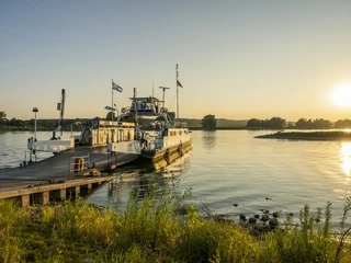 Veerboot Elbe Tanja Elbfähre TanjaElbe ferry TanjaBac sur l'Elbe TanjaVeerboot Elbe TanjaElbe-færgen Tanja