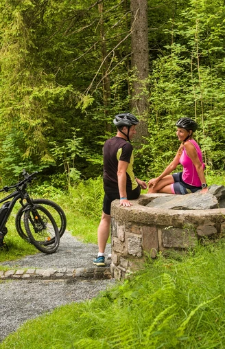 Muldenquelle in Schöneck