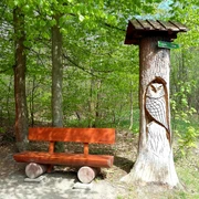 Rastplatz am Waldlehrpfad am Essigsteig