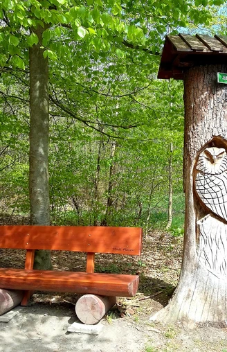 Rastplatz am Waldlehrpfad am Essigsteig
