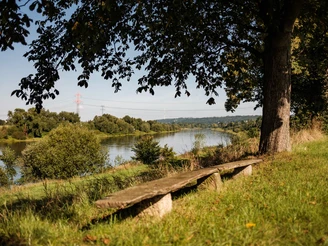 Am Elberadweg Richtung Dresden