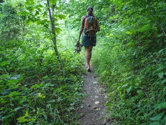 Wandern auf der Qualitätstour "Weserhöhen"