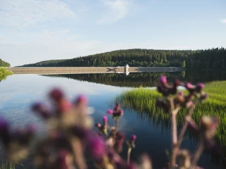 Talsperre Werda (Geigenbachtalsperre)