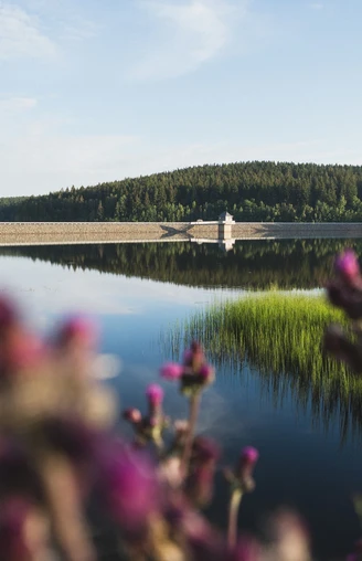 Talsperre Werda (Geigenbachtalsperre)