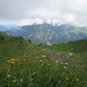 Wandern auf Gitschenen