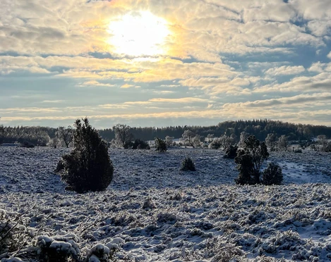 winter-naturschutzgebiet-bispingen-touristik.jpg Erster Schnee in der Lüneburger Heide