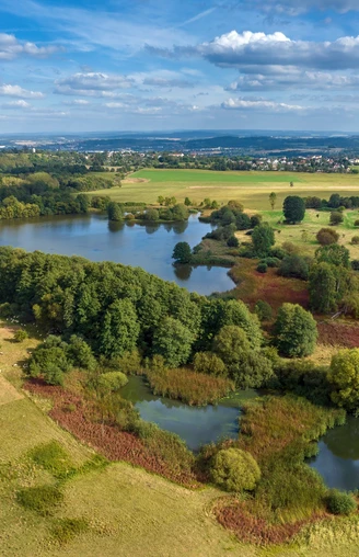 Weidenteich Plauen Neundorf