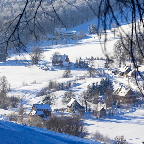 Rehefeld-Zaunhaus im Winter