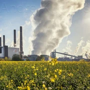 Salzgitter AG: Industrie am Rapsfeld