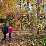 Martins Holzerlebnisweg Ellefeld