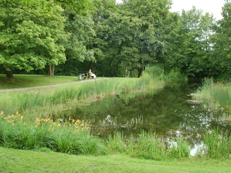 Lappenspring Teich im Kurpark am Greif Salzgitter-Bad