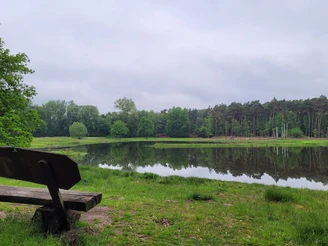 Schnakenpohl  Holzbänke am beschaulichen Seeufer mit üppigem Grün und dichtem Wald im Hintergrund laden zum Verweilen ein.