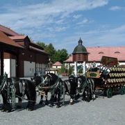 Wernesgrüner Brauerei Gutshof