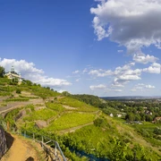 Wanderliebling RebkulTOUR in Radebeul Radebeul Weinhänge