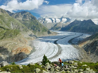 Wanderung von der Riederalp durch den Aletschwald zu den Chatzulechern