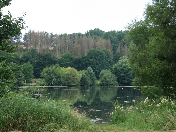 Keddinghäuser See  Keddinghäuser See