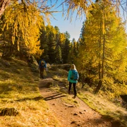 Rundwanderung von der Riederalp via Grünsee, Silbersand und zurück